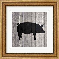 Framed 'Barn Pig' border=