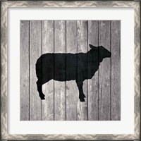 Framed 'Barn Sheep' border=