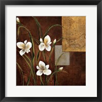 Framed 'Orchid Melody I' border=