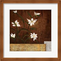 Framed 'Orchid Melody II' border=