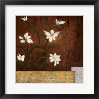 Framed 'Orchid Melody II' border=