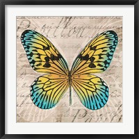 Butterflies I Framed Print