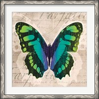 Framed 'Butterflies II' border=