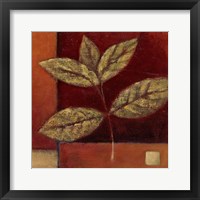 Framed 'Crimson Leaf Study II' border=