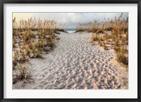 Framed Path To The Beach