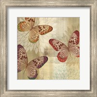 Framed 'Tropical Butterflies I' border=