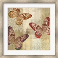 Framed 'Tropical Butterflies I' border=