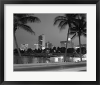 Framed Night View Skyline With Palm Trees Miami Florida