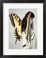 Framed Winged Beauty #3