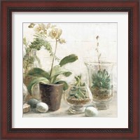 Framed 'Greenhouse Orchids on Shiplap III' border=