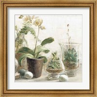 Framed 'Greenhouse Orchids on Shiplap III' border=