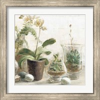 Framed 'Greenhouse Orchids on Shiplap III' border=