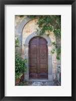 Framed Venice Doorway