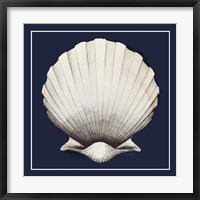 Framed Coastal Shell II with Border Navy