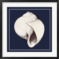 Framed 'Coastal Shell I with Border Navy' border=