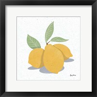 Framed Fruity Cocktails V