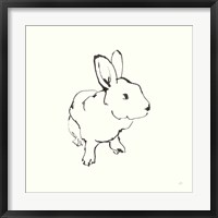 Framed Line Bunny II