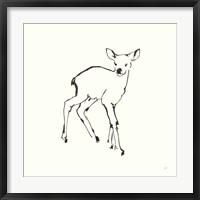 Framed Line Fawn