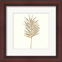 Framed 'Gilded Palm VI' border=