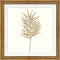 Framed 'Gilded Palm VI' border=