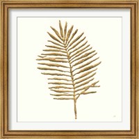 Framed 'Gilded Palm II' border=