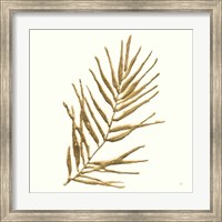 Framed 'Gilded Palm I' border=