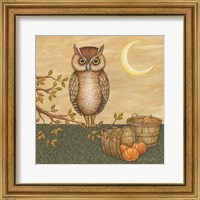 Framed 'Halloween Owl' border=