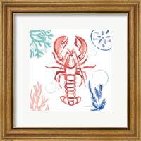 Framed 'Coastal Jewels VI Coral Cove' border=