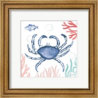 Framed 'Coastal Jewels V Coral Cove' border=