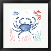 Framed 'Coastal Jewels V Coral Cove' border=