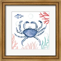 Framed 'Coastal Jewels V Coral Cove' border=