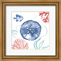 Framed 'Coastal Jewels IV Coral Cove' border=