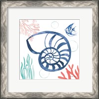 Framed 'Coastal Jewels I Coral Cove' border=