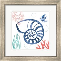 Framed 'Coastal Jewels I Coral Cove' border=