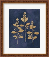 Framed 'Botanical Study IV Gold Navy' border=