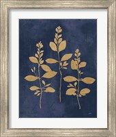 Framed 'Botanical Study IV Gold Navy' border=