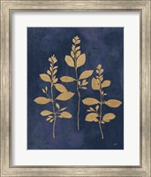 Framed 'Botanical Study IV Gold Navy' border=