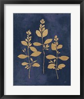 Botanical Study IV Gold Navy Framed Print