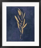 Botanical Study I Gold Navy Framed Print