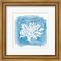 Framed 'Water Coral Cove VI' border=