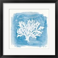 Water Coral Cove VI Framed Print