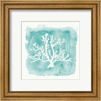 Framed 'Water Coral Cove V' border=