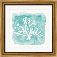 Framed 'Water Coral Cove V' border=