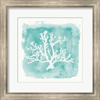 Framed 'Water Coral Cove V' border=