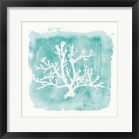 Framed 'Water Coral Cove V' border=