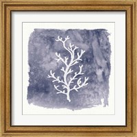 Framed 'Water Coral Cove IV' border=