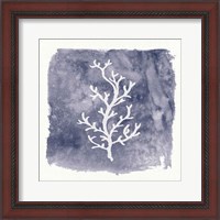 Framed 'Water Coral Cove IV' border=