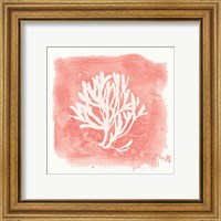 Framed 'Water Coral Cove III' border=