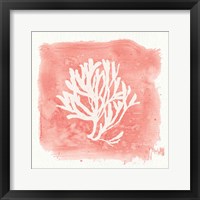 Water Coral Cove III Framed Print