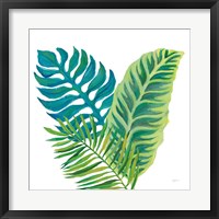 Framed 'Coconut Palm VI' border=